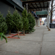 Illustration for article titled Photo Essay: NYCs Incredible Christmas Tree Seller Subculture